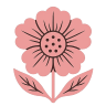 Nyxalventoriph